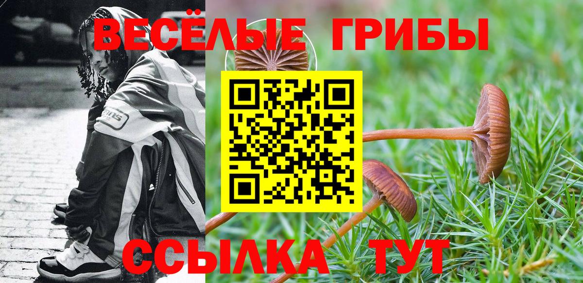 Дивногорск  Псилоцибиновые грибы мицелий  Галлюциногенные грибы мухоморы  Вход с VPN 