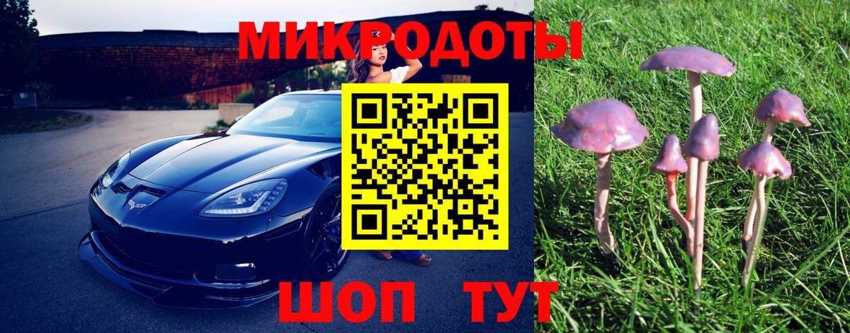Псилоцибиновые грибы Magic Shrooms Дивногорск